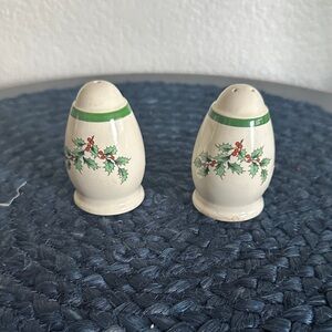 Spode Ceramic Salt and Pepper Shakers